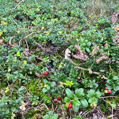 23-09-18 14-21-57 7051